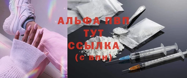 мет Алексин