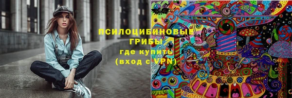 МДПВ Алексеевка