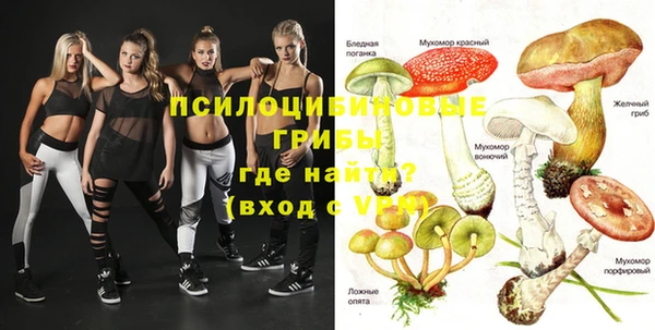 МДПВ Алексеевка