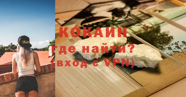 мет Алексин