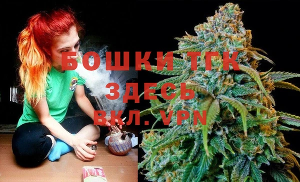 МДПВ Алексеевка
